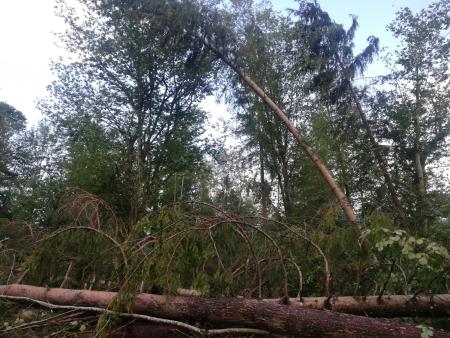 Vremenske razmere v občini Kamnik do 11. ure  (5)